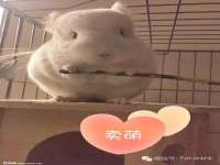 灵动家政服务（舟山）有限公司随州分公司