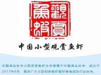 灵动家政服务（舟山）有限公司随州分公司