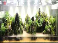 灵动家政服务（舟山）有限公司随州分公司