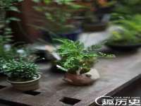灵动家政服务（舟山）有限公司随州分公司