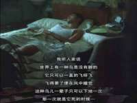 灵动家政服务（舟山）有限公司随州分公司