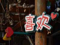 灵动家政服务（舟山）有限公司随州分公司