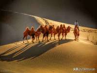 灵动家政服务（舟山）有限公司随州分公司