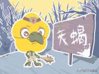 灵动家政服务（舟山）有限公司随州分公司