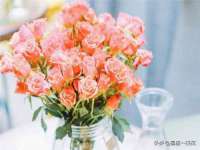灵动家政服务（舟山）有限公司随州分公司
