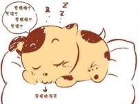 灵动家政服务（舟山）有限公司随州分公司