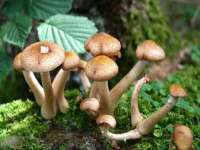 灵动家政服务（舟山）有限公司随州分公司