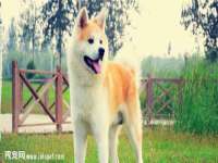 灵动家政服务（舟山）有限公司随州分公司