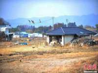 灵动家政服务（舟山）有限公司随州分公司