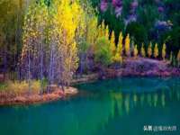 灵动家政服务（舟山）有限公司随州分公司