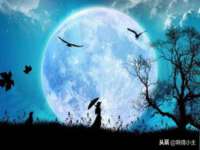 灵动家政服务（舟山）有限公司随州分公司