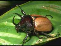 灵动家政服务（舟山）有限公司随州分公司