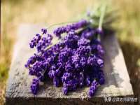 灵动家政服务（舟山）有限公司随州分公司