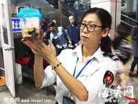 灵动家政服务（舟山）有限公司随州分公司