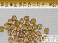 灵动家政服务（舟山）有限公司随州分公司